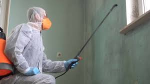 Best Residential Mold Inspection & Testing  in Port Salerno, FL